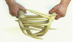 hands-on-horns