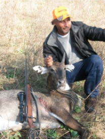 nilgai hunting 